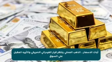 ثبات الأسعار.. الذهب المحلي ينتظر قرار الفيدرالي الأمريكي وتأثيره المقبل على السوق